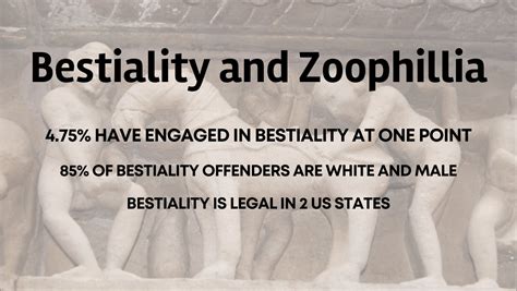 zoophiled|ZOOPHILIA Definition & Meaning .